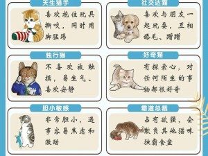 馋嘴猫咪探秘：乐趣无穷的猫咪世界简介