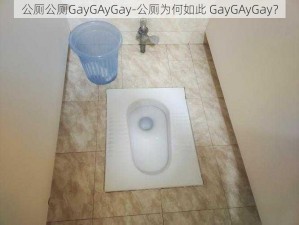 公厕公厕GayGAyGay-公厕为何如此 GayGAyGay？