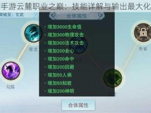 天下手游云麓职业之巅：技能详解与输出最大化攻略