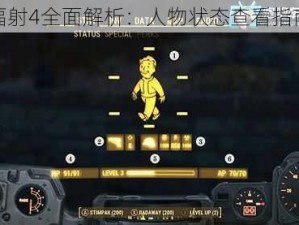 辐射4全面解析：人物状态查看指南