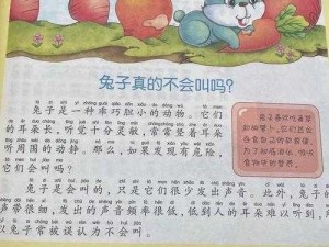 老师的兔子真好听-如何评价老师的兔子真好听？