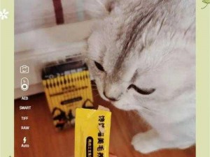 猫 310 版本官方最新版本更新，功能强大，操作便捷，体验更流畅