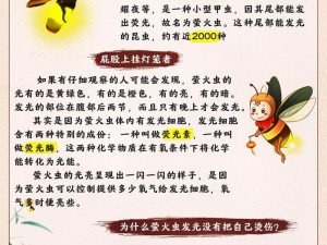 关于幻塔萤火虫的捕捉方法及实用指南