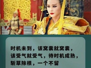 梁则天夏季锋芒毕露：热血行动揭示新篇章