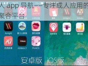 成人 app 导航——专注成人应用的资源聚合平台