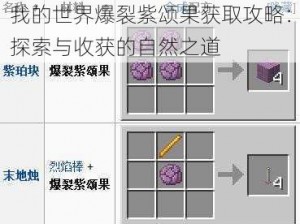 我的世界爆裂紫颂果获取攻略：探索与收获的自然之道