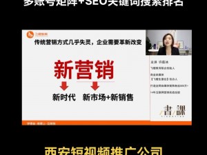 seo 短视频网页入口引流：一键获取精准流量