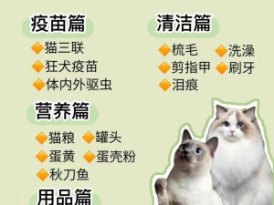 小森生活新手养猫全攻略：从选猫、饲养到护理的实用指南