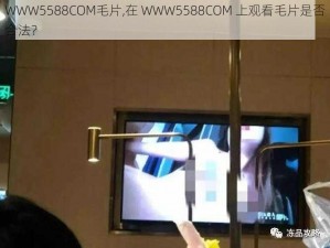 WWW5588COM毛片,在 WWW5588COM 上观看毛片是否合法？