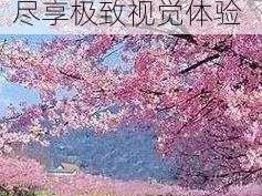 樱花视频无码一区;樱花视频无码一区：尽享极致视觉体验