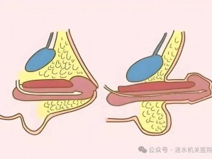 这款应用提供了海量的男阳茎进女阳道视频，全方位满足用户需求