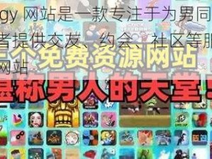 男同 gy 网站是一款专注于为男同性恋者提供交友、约会、社区等服务的专业网站