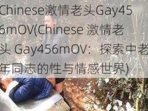 Chinese激情老头Gay456mOV(Chinese 激情老头 Gay456mOV：探索中老年同志的性与情感世界)