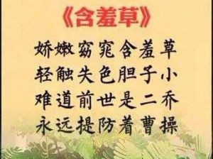 九九在线含羞草—如何在九九在线含羞草中获得更好的体验？