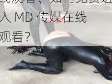 MD传媒免费进入在线观看、如何免费进入 MD 传媒在线观看？