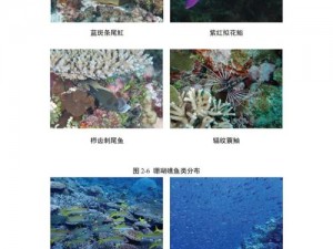 珊瑚岛生态新发现：昆虫与生物陷阱揭秘更新内容