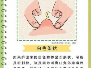 探究神奇的豆豆：为什么它能挤出白液体