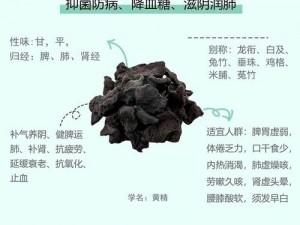 国精产品一区一区三区、国精产品一区一区三区是什么？有什么特点？