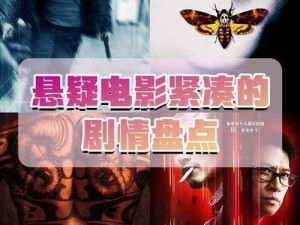 暗夜刺客：追踪真相与隐匿暗影的暗杀者传奇