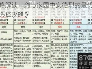 《战略解读：剑与家园中安德烈的最优装备搭配选择攻略》