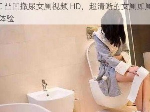 WC 凸凹撤尿女厕视频 HD，超清晰的女厕如厕场景体验