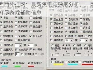 西西外挂网：最新资讯与独家分析，一网打尽游戏辅助信息