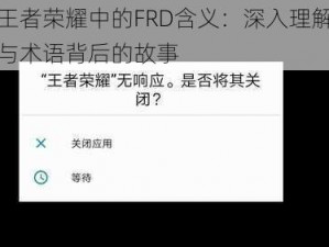 揭秘王者荣耀中的FRD含义：深入理解游戏术语与术语背后的故事