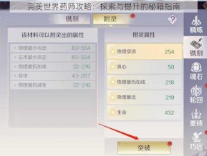 完美世界药师攻略：探索与提升的秘籍指南