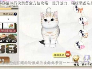 天刀手游猫咪行侠装备全方位攻略：提升战力，猫咪装备选择指南