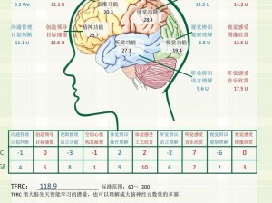 元素方尖天赋塑造角色性格与命运之路的深远影响探究