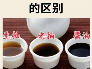 揭秘老抽酱油之老字背后的传统工艺与深层内涵