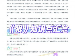 全面解析狼队新手必备基础知识：从入门到精通的全面指南