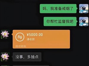 富婆聊天，轻松赚钱：热点话题背后的秘密