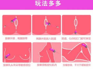 一女二夫玩弄 NP 高 H 情趣用品，带给你前所未有的刺激体验