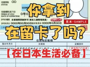 日本精品卡2卡三卡4卡 如何获取日本精品卡 2 卡三卡 4 卡？