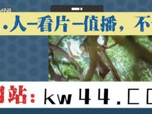 日本乱码一卡二卡3卡四卡网站_日本乱码一卡二卡 3 卡四卡网站，深夜福利等你来体验