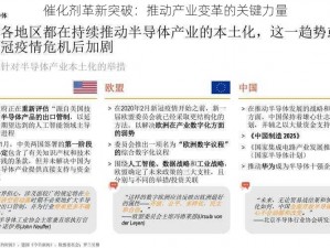 催化剂革新突破：推动产业变革的关键力量