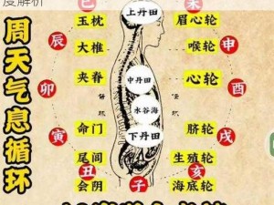 君子堂内功属性揭秘：一阶二阶修炼心法深度解析