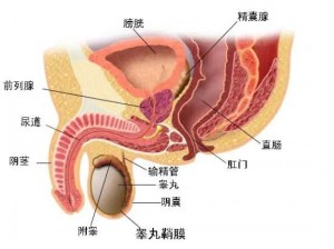 jzjzjzjzjz 高潮喷水——让你体验前所未有的快感