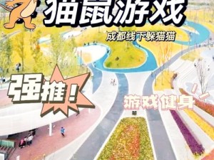 猫鼠手游新时代：玩转学业，掌握乐趣无限升级路径探寻