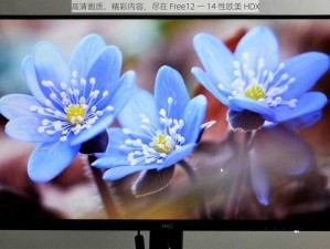 高清画质，精彩内容，尽在 Free12 一 14 性欧美 HDX