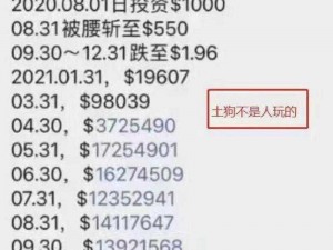 SHIB币的长期投资价值分析：是否值得持有？