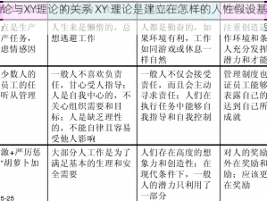 人性理论与XY理论的关系 XY 理论是建立在怎样的人性假设基础上的？