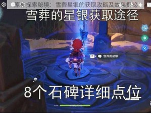 原神探索秘境：雪葬星银的获取攻略及效果揭秘