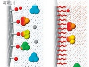 tubeporin 高效分离介质，助力生物技术研究与应用