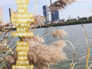 抖音流行歌曲揭秘：你赠花我享受饭桌浪漫，却要刷支付卡的消费爱情曲解析