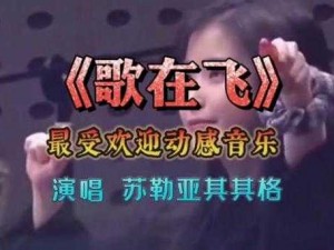 老司机带带我香蕉送给你是什么歌之动感车载音乐，一路畅听