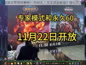 魔兽世界国服运营现状解析：为何无人接手开设新服？探究其原因与困境