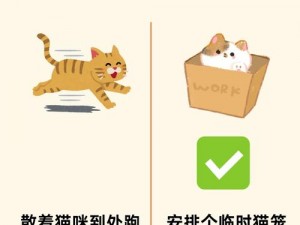 猫猫爱消除游戏安装配置指南详解：轻松上手无障碍设置教程