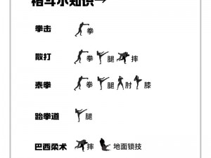 格斗宝贝战斗力飙升指南：实战技巧与训练方法揭秘